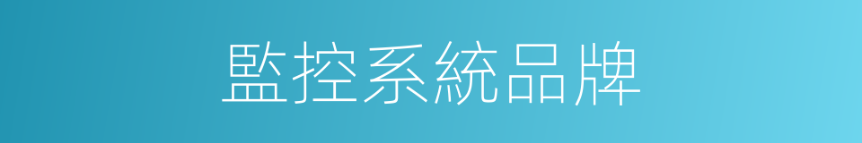 監控系統品牌的同義詞