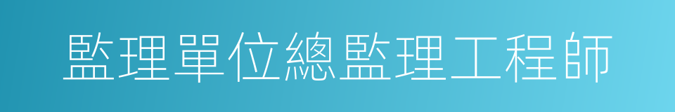 監理單位總監理工程師的同義詞