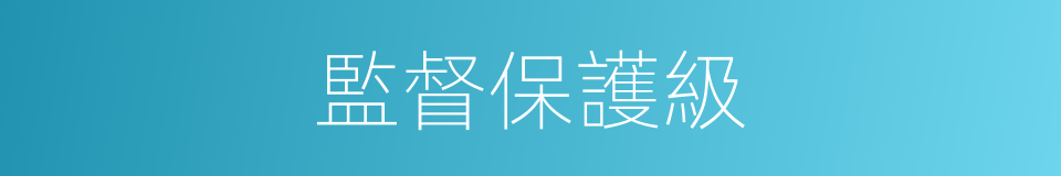 監督保護級的同義詞