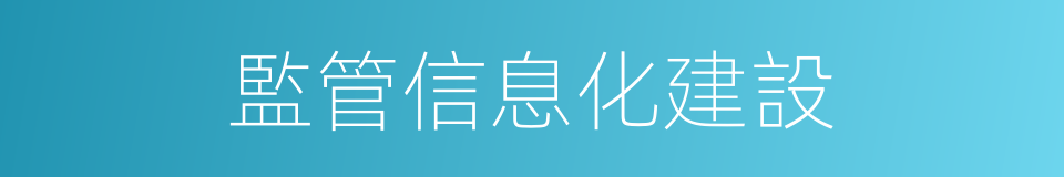 監管信息化建設的同義詞