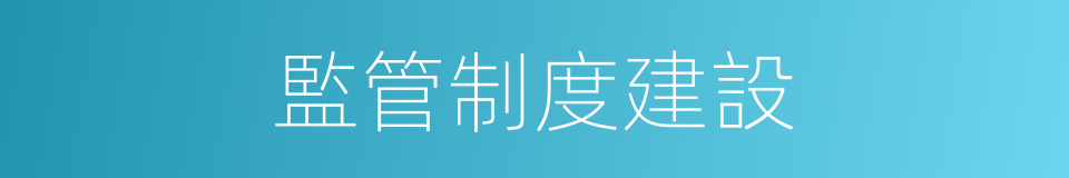 監管制度建設的同義詞