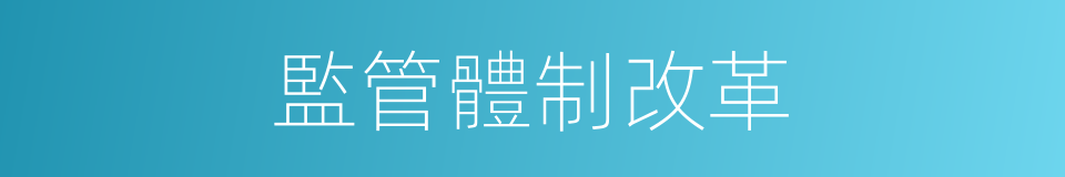 監管體制改革的同義詞