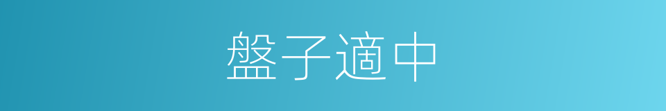 盤子適中的同義詞