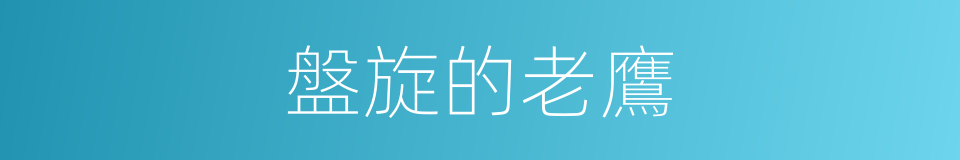 盤旋的老鷹的同義詞