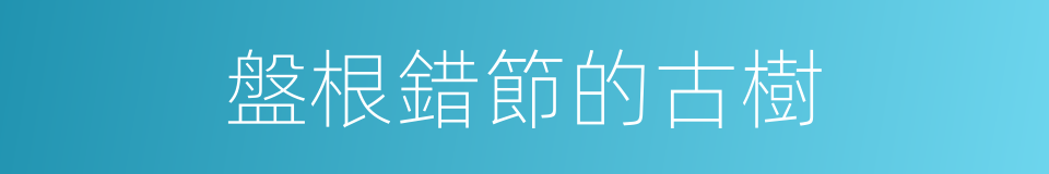盤根錯節的古樹的同義詞