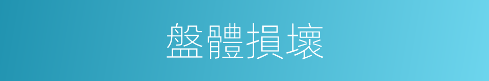 盤體損壞的同義詞