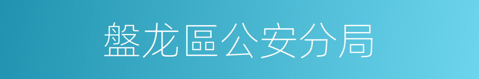 盤龙區公安分局的同義詞