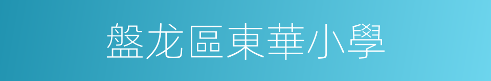 盤龙區東華小學的同義詞