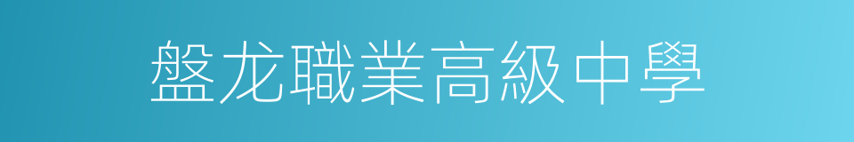 盤龙職業高級中學的同義詞