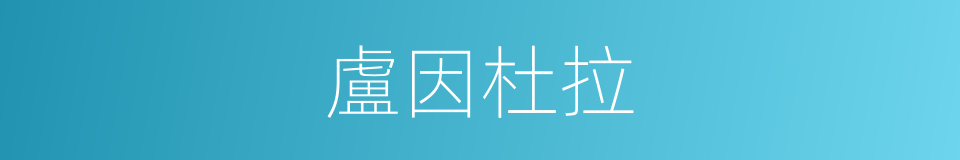 盧因杜拉的同義詞