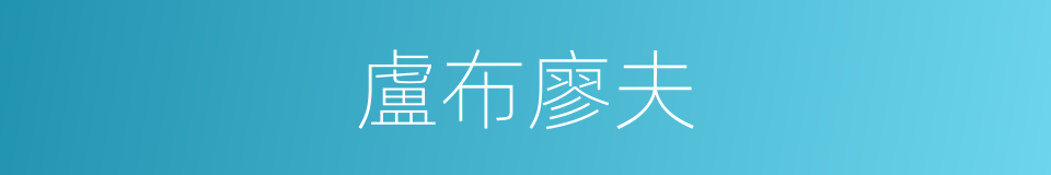 盧布廖夫的同義詞