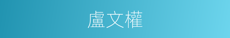 盧文權的同義詞