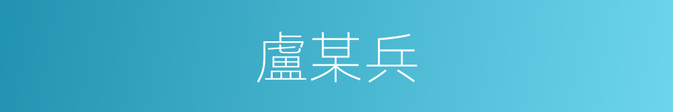 盧某兵的同義詞