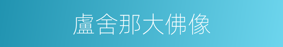 盧舍那大佛像的同義詞