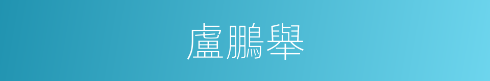 盧鵬舉的同義詞