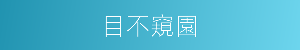目不窺園的意思