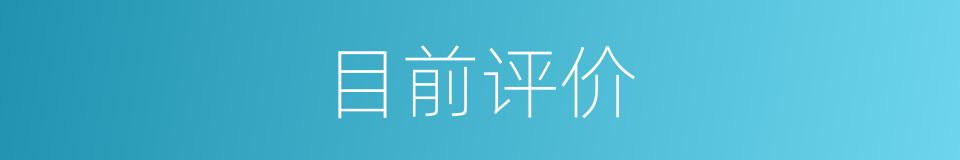 目前评价的同义词