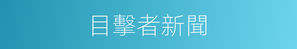 目擊者新聞的同義詞