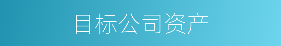 目标公司资产的同义词