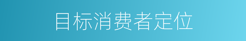 目标消费者定位的同义词