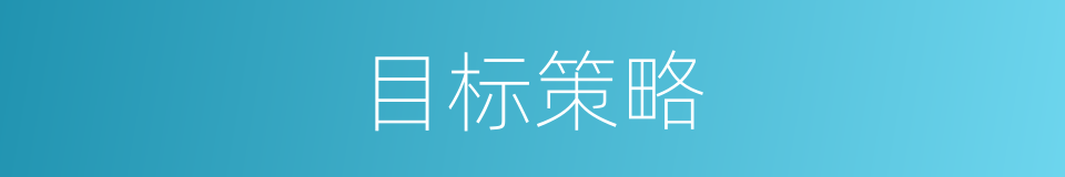 目标策略的同义词