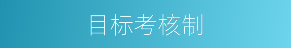目标考核制的同义词