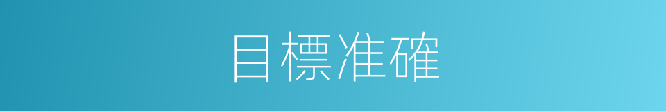 目標准確的同義詞