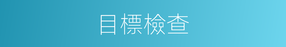 目標檢查的同義詞