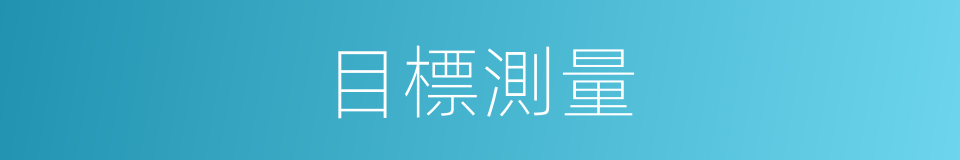 目標測量的同義詞