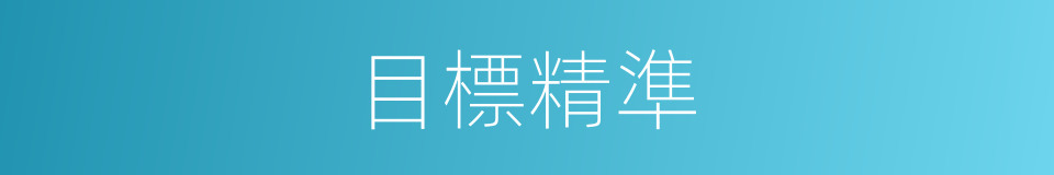 目標精準的同義詞