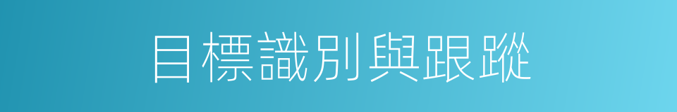 目標識別與跟蹤的同義詞