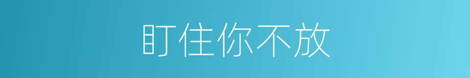 盯住你不放的同义词