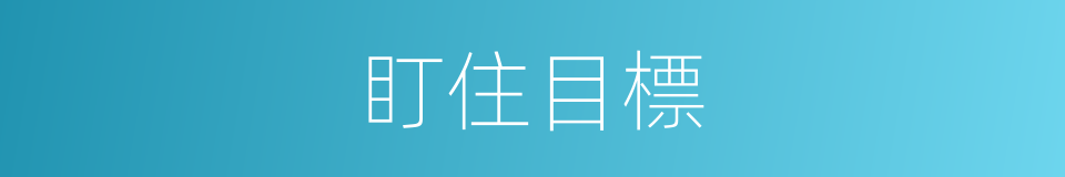 盯住目標的同義詞