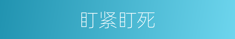 盯紧盯死的同义词