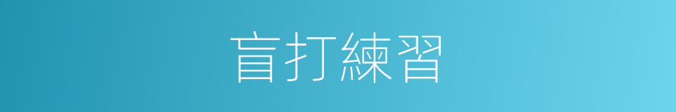 盲打練習的同義詞