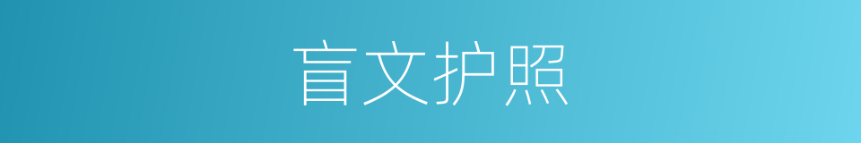 盲文护照的同义词