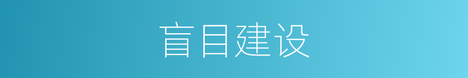 盲目建设的同义词