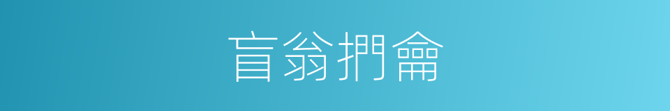 盲翁捫龠的同義詞