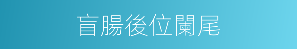 盲腸後位闌尾的同義詞