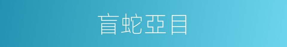 盲蛇亞目的同義詞