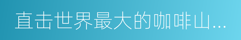 直击世界最大的咖啡山发掘现场的同义词