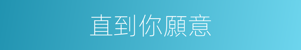 直到你願意的同義詞