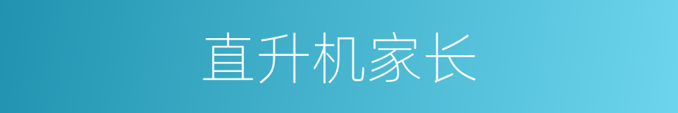 直升机家长的同义词