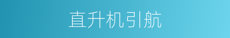 直升机引航的同义词