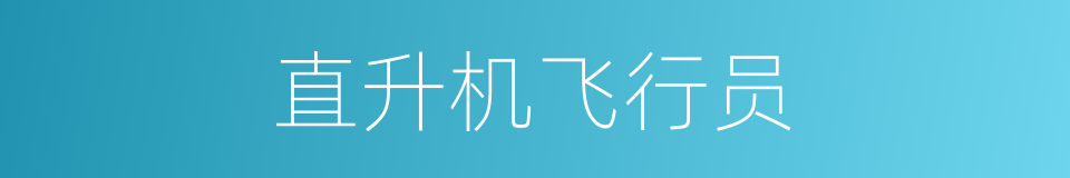 直升机飞行员的同义词