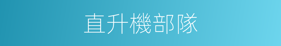 直升機部隊的同義詞