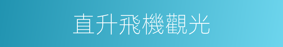 直升飛機觀光的同義詞