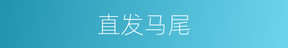 直发马尾的同义词