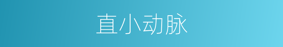 直小动脉的同义词