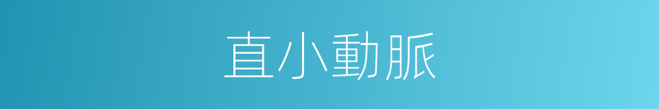 直小動脈的同義詞